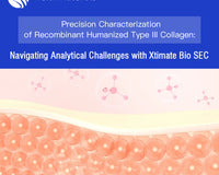 Precision Characterization of Recombinant Humanized Type III Collagen: Navigating Analytical Challenges with Xtimate Bio SEC