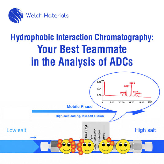 Hydrophobic Interaction Chromatography: Your Best Teammate in the Analysis of ADCs