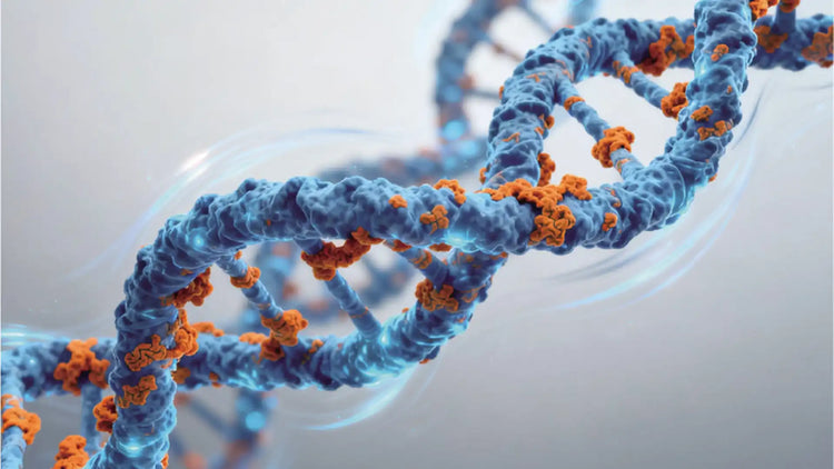 Mastering Biosample Analysis with Welch's Solutions