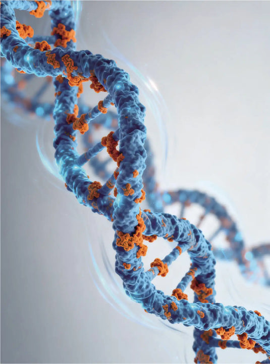 Mastering Biosample Analysis with Welch's Solutions