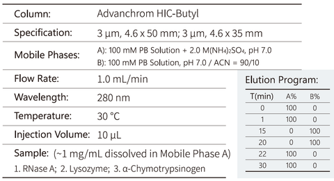 Chromatographic Conditions of Standard Proteins Separation